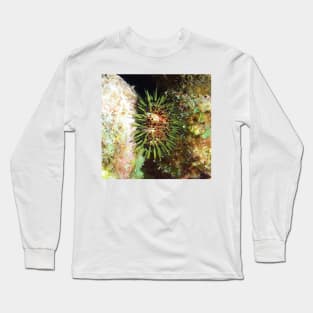 Jewell Sea Urchin Long Sleeve T-Shirt